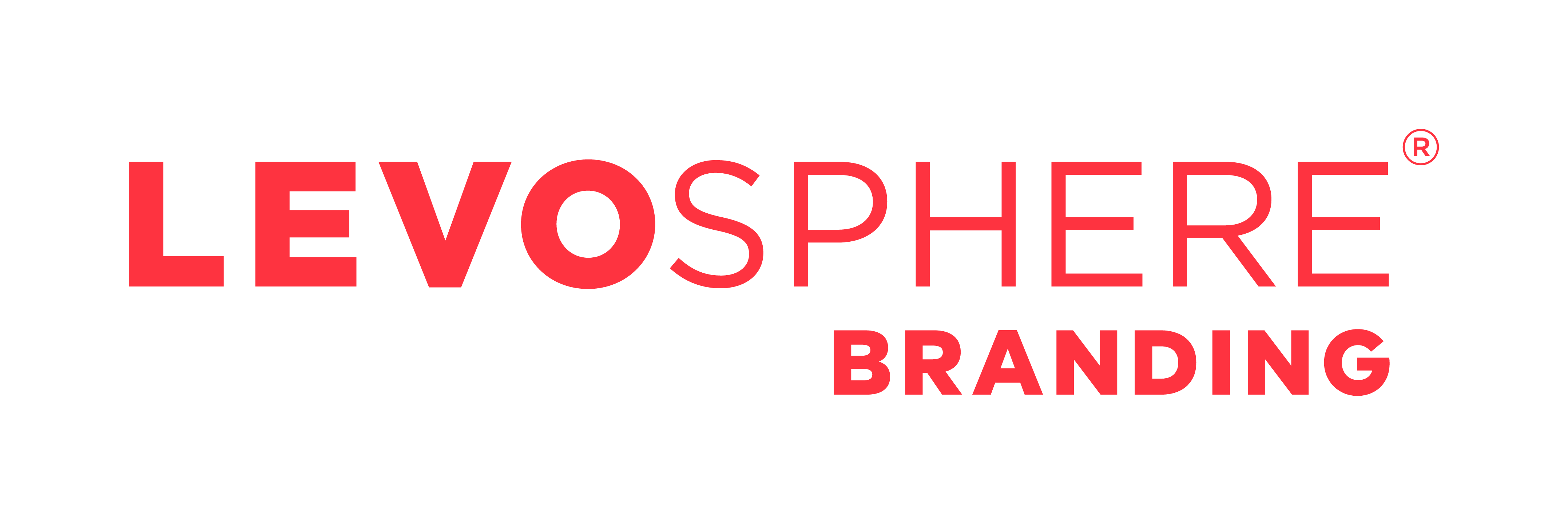 Levosphere branding